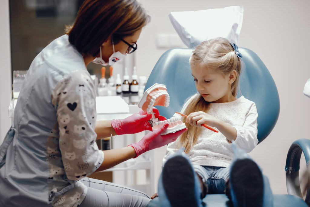 A female dentist demonstrating proper oral hygiene using a dental model as a little girl patient observes