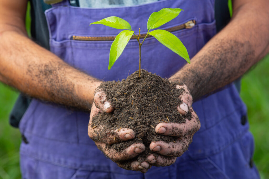 A farmer holds soil with fertilizer