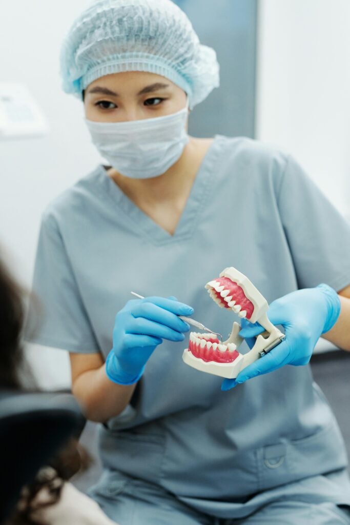 Dentist in scrubs demonstrating with a dental model.