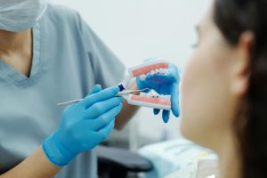 Dentist demonstrating braces on a dental model.