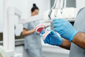 Dentist with gloves holding a dental model in a clinic.