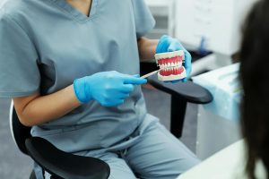 Dentist demonstrating teeth with a dental model.